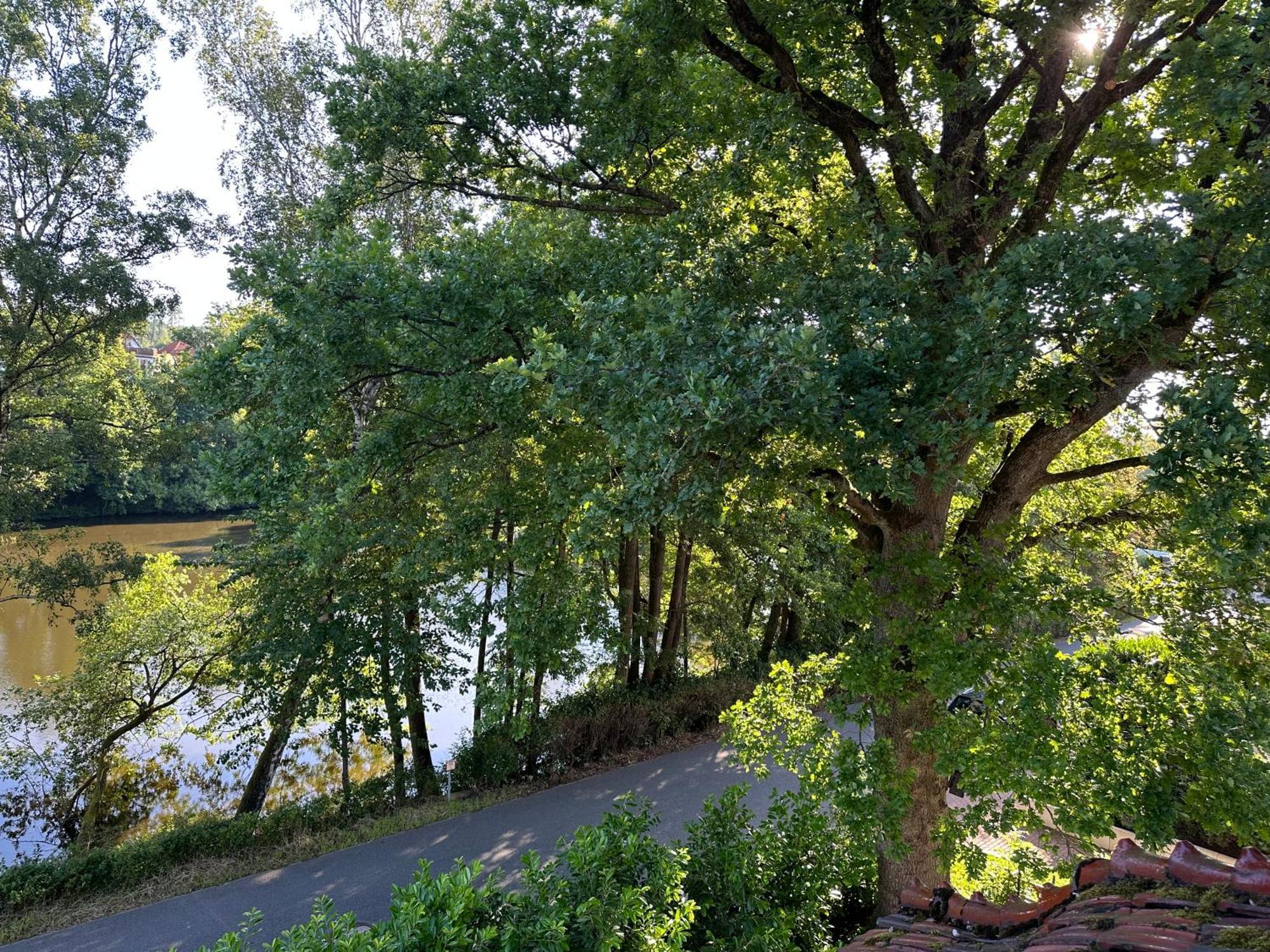 Villa Am See Bad Sachsa Buitenkant foto