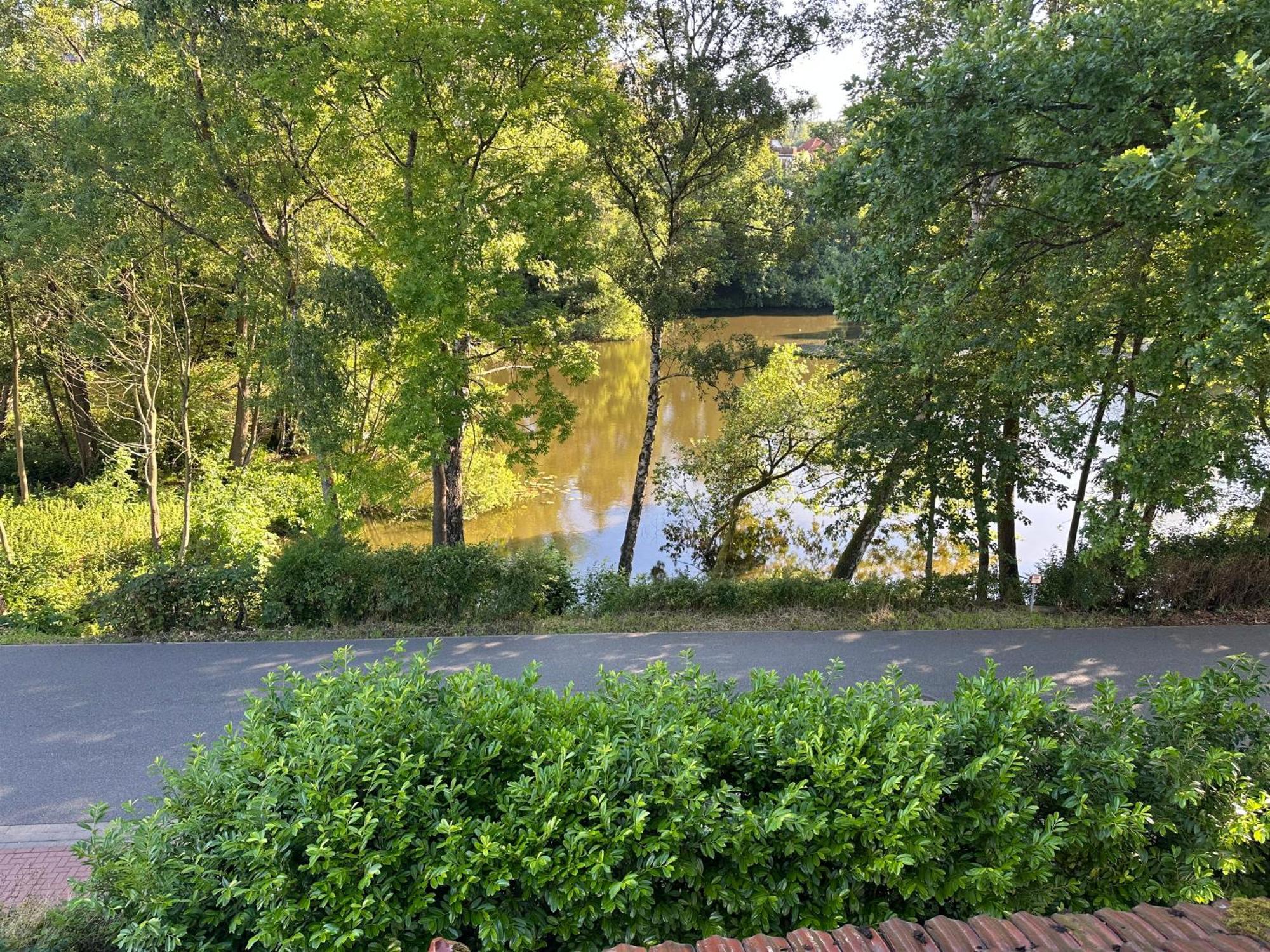 Villa Am See Bad Sachsa Buitenkant foto